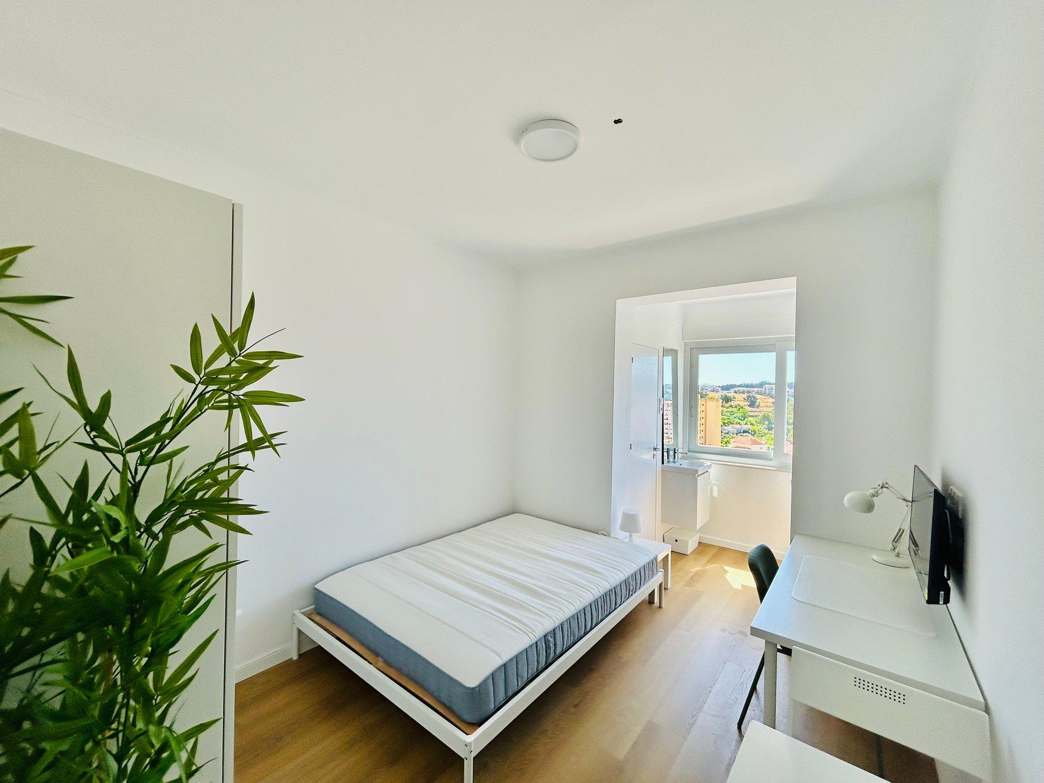 Studio 01 A — studio para arrendar em Coimbra — Ladeira das Alpenduradas
