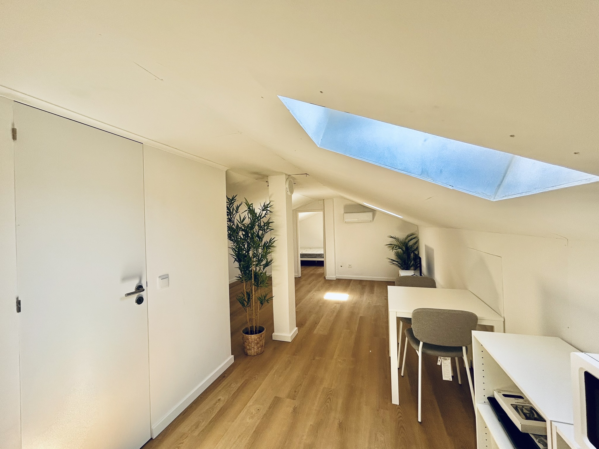 Studio 01 F — studio para arrendar em Coimbra — Ladeira das Alpenduradas