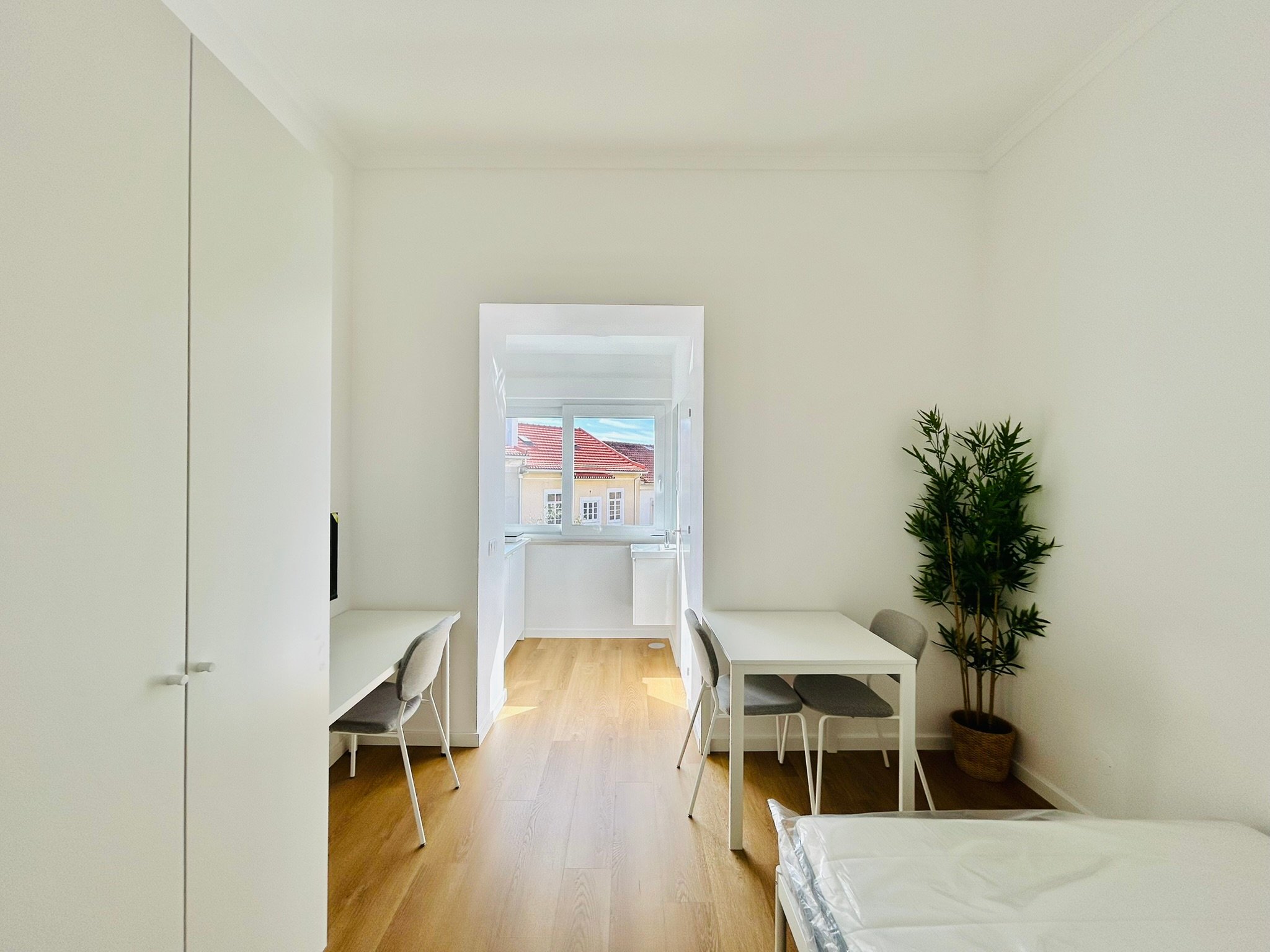Studio CV B — studio para arrendar em Coimbra — Ladeira das Alpenduradas