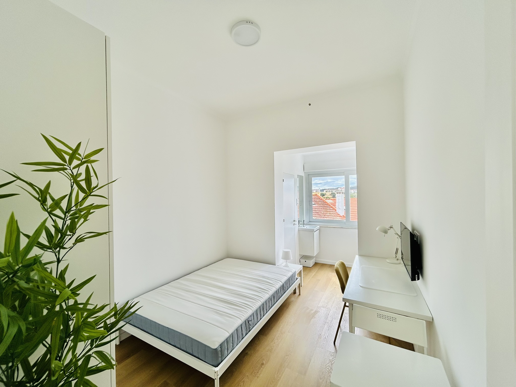 Studio CV A — studio para arrendar em Coimbra — Ladeira das Alpenduradas